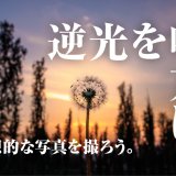 逆光を⽣かして写真を撮影する⽅法