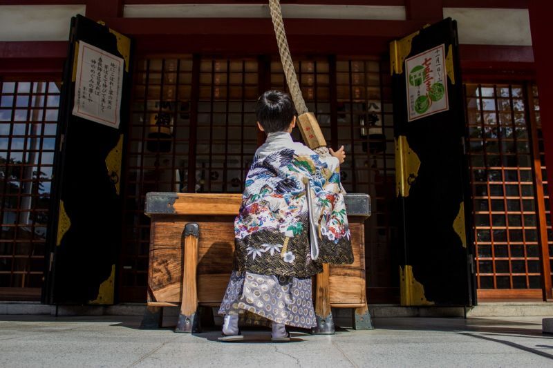 七五三撮影におすすめのカメラ10選！スマホとの違い・失敗しない選び方のポイントも解説