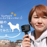 【スタッフコラム】アクションカメラで、犬目線の映像を撮ってみた！