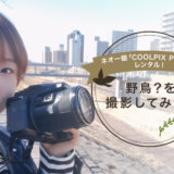 【スタッフコラム】ネオ一眼・COOLPIX P950で野鳥？を撮影してみた！