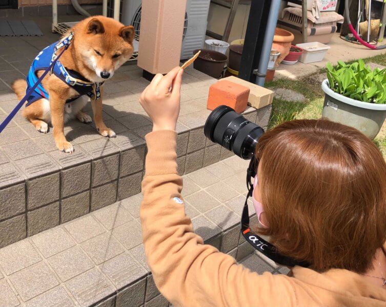 愛犬を可愛く撮影したい！