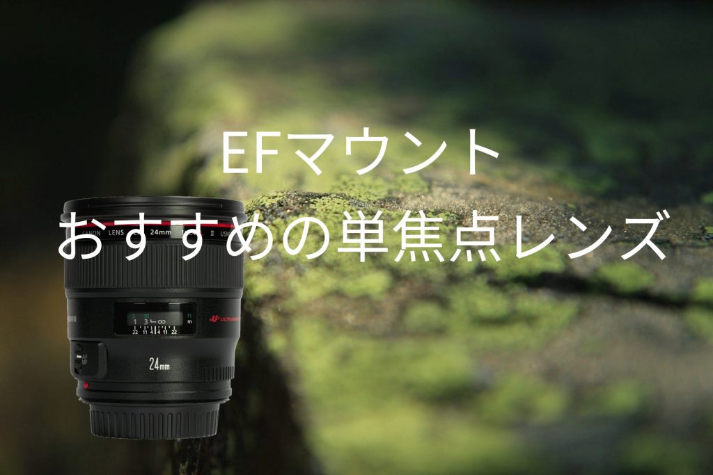 EFマウント単焦点レンズのおすすめ10選 | カメラ・レンズ選びと
