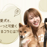 【スタッフコラム】愛犬撮影！ローアングルなど3つのコツを実践してみた！