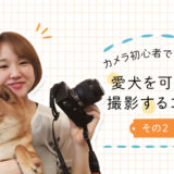【スタッフコラム】愛犬撮影！構図など3つのコツを実践してみた！その②