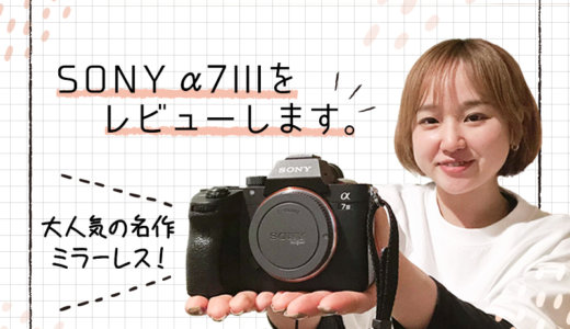 SONY α7IIIをレビューしてみた！α7Cとの比較もします！