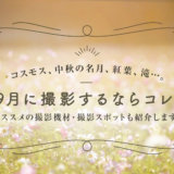 9月の撮影にオススメな被写体10選(撮影イベントも紹介します!)
