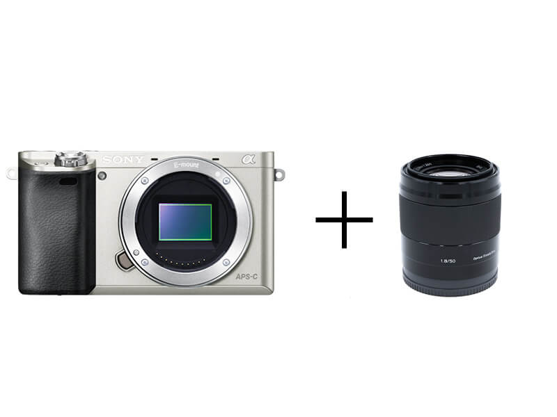 ✨スポーツ・紅葉撮影に最適✨高速AF✨SONY α65 Wレンズ 紅葉の撮影に