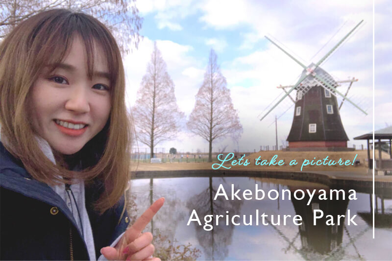 【スタッフコラム】あけぼの山農業公園（千葉県柏市）で季節の花を撮影してきた！