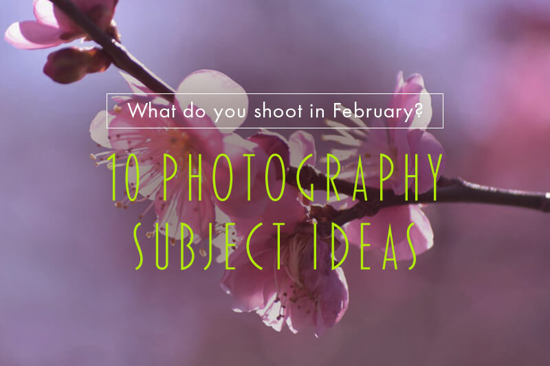 2月の写真撮影におすすめな被写体10選