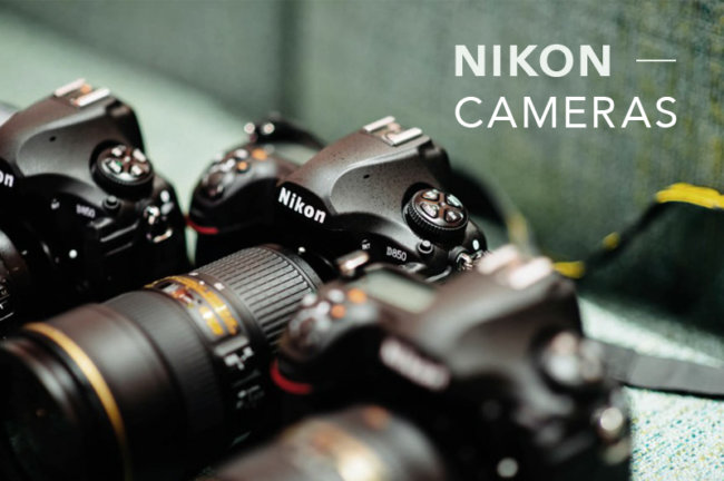ニコンの一眼レフカメラの特徴、おすすめモデルを紹介！
