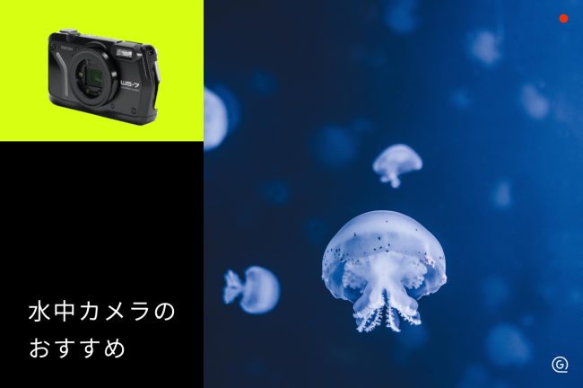 水中カメラおすすめ11選！用途別に選び方を解説