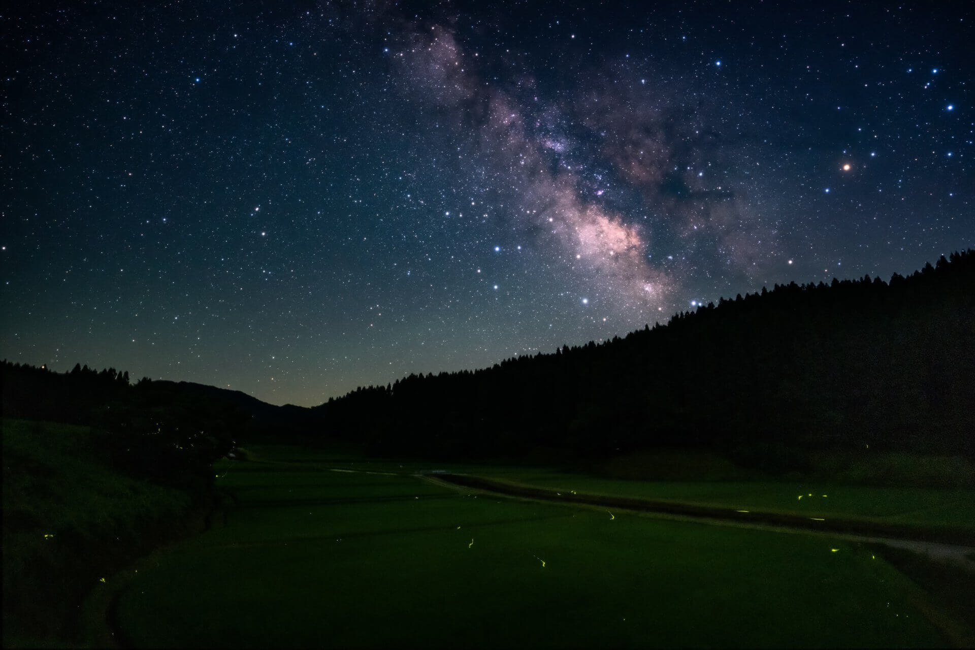 SIGMA 20mm F1.4 DG DN | Art