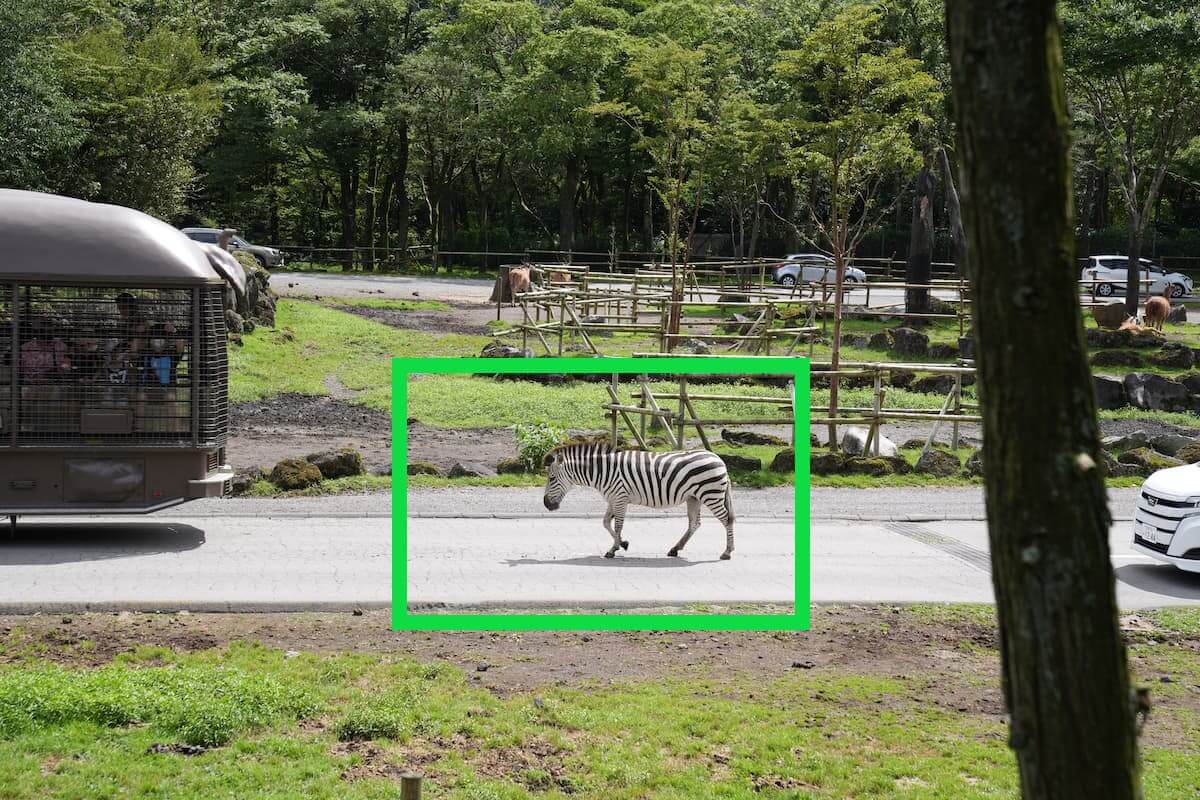 α7４実写レビュー