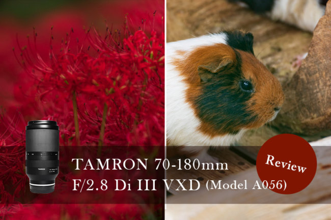 TAMRON 70-180mm F/2.8 Di III VXD (Model A056)レビュー