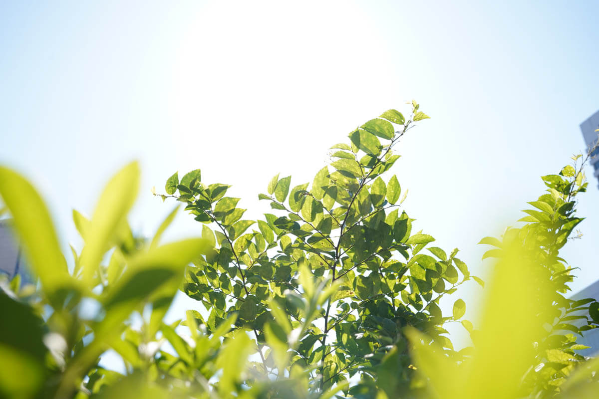 20-40mm F/2.8 Di III VXD