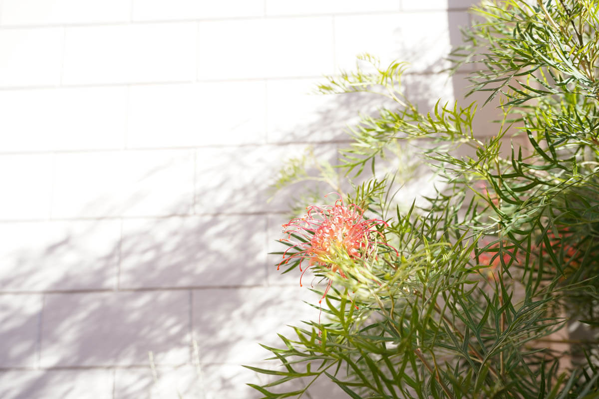 20-40mm F/2.8 Di III VXD