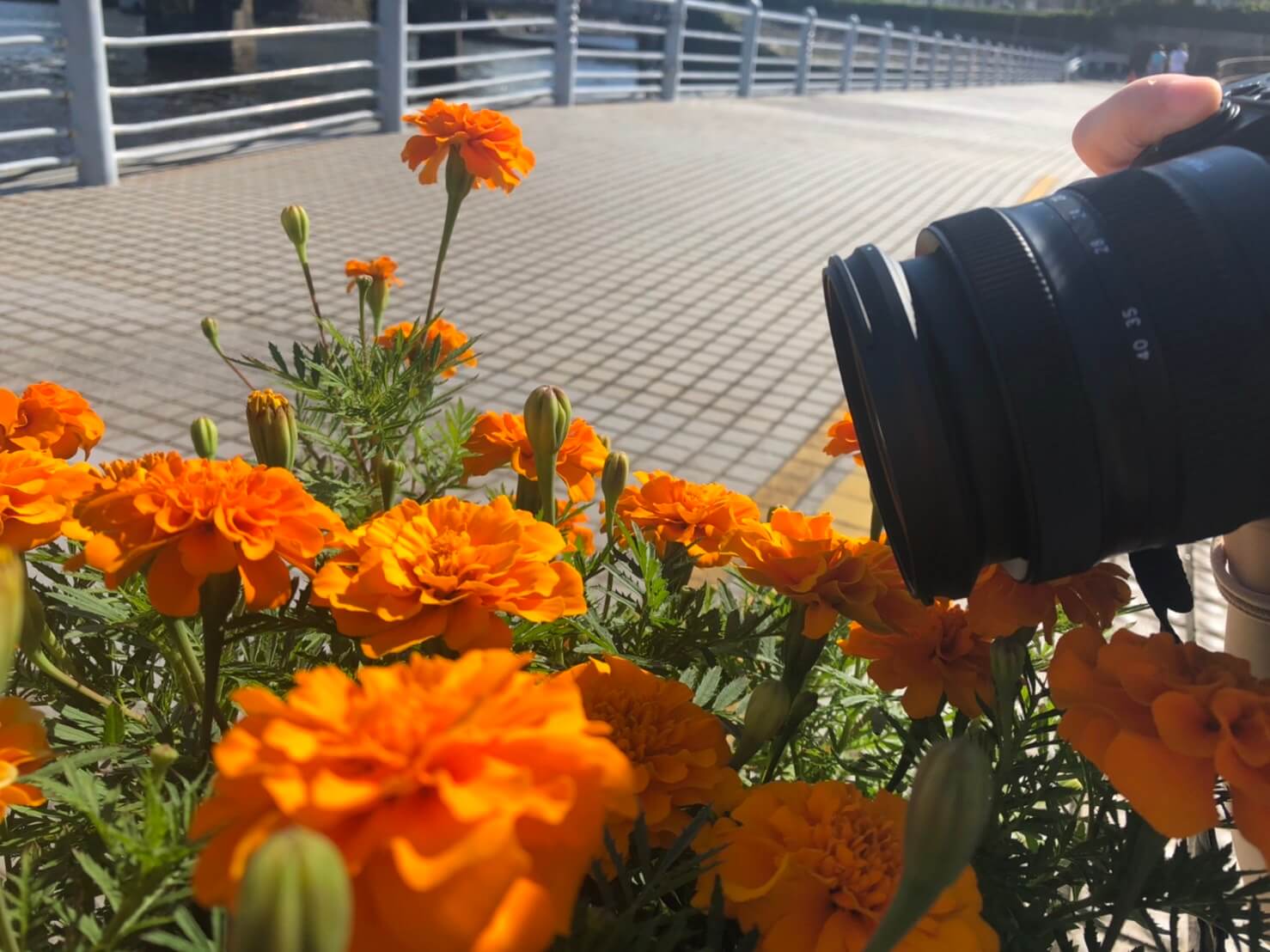 20-40mm F/2.8 Di III VXD