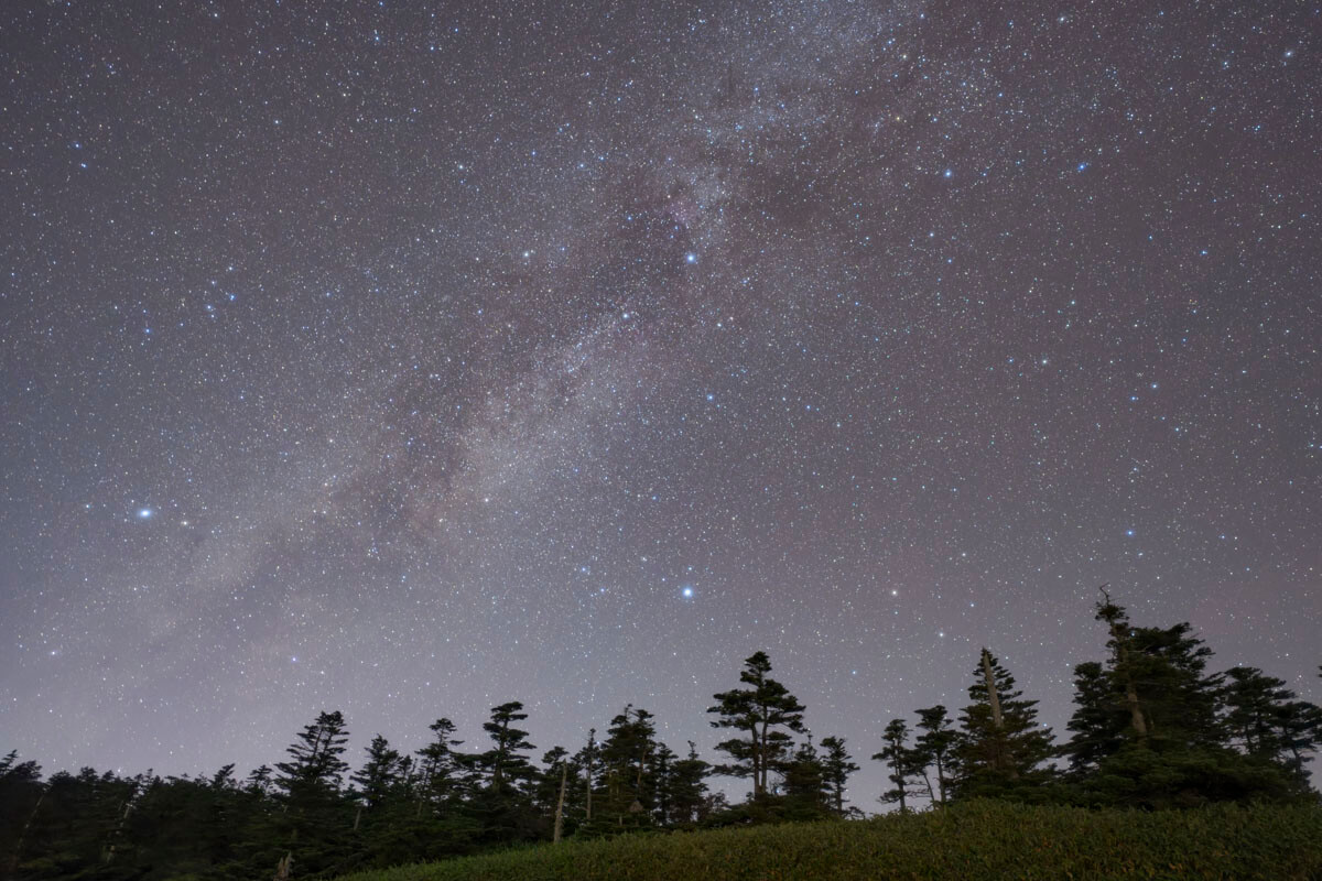 sigma20mm作例