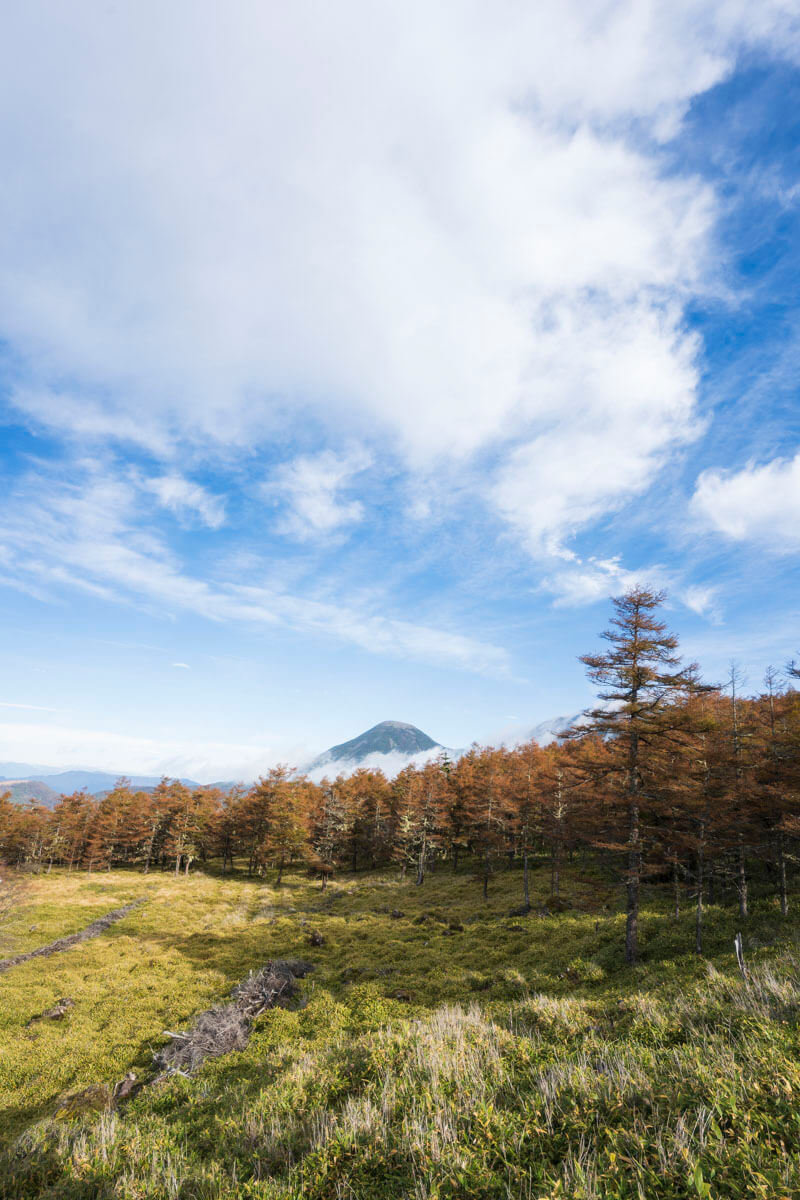sigma20mm作例