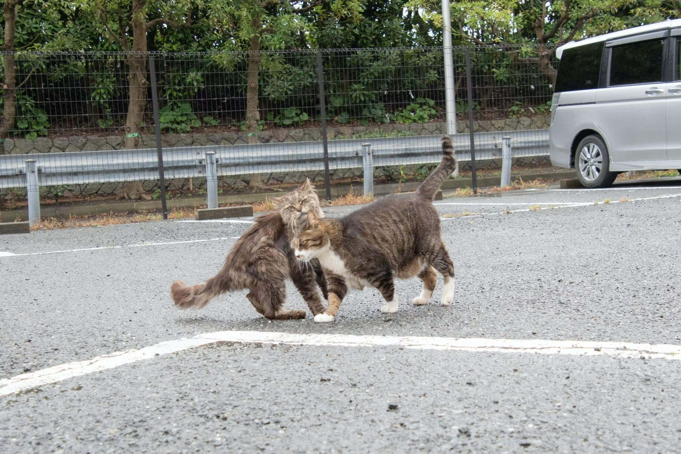 yoshikiさん