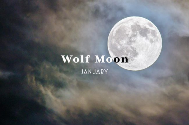 2025年1月14日(火)は、ウルフムーンを撮影しよう！