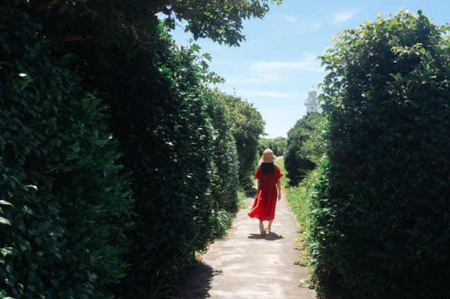 君のいる風景【第3回：夏休み伊豆旅行編／Leica Q】