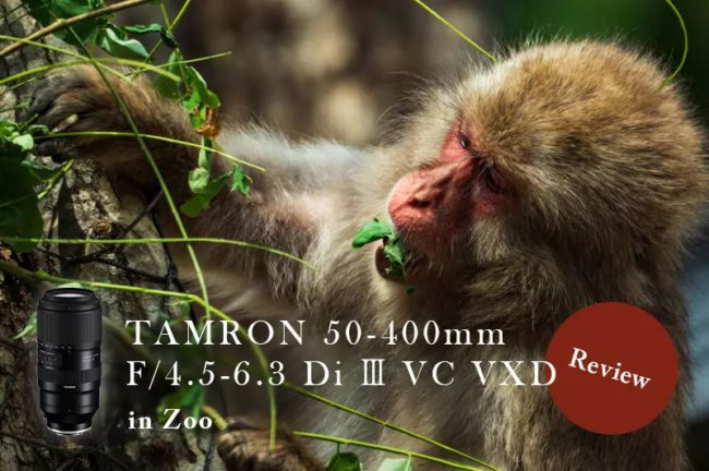 【実写レビュー】TAMRON（タムロン）50-400mm F/4.5-6.3 Di Ⅲ VC VXDで動物園の撮影をしてみた