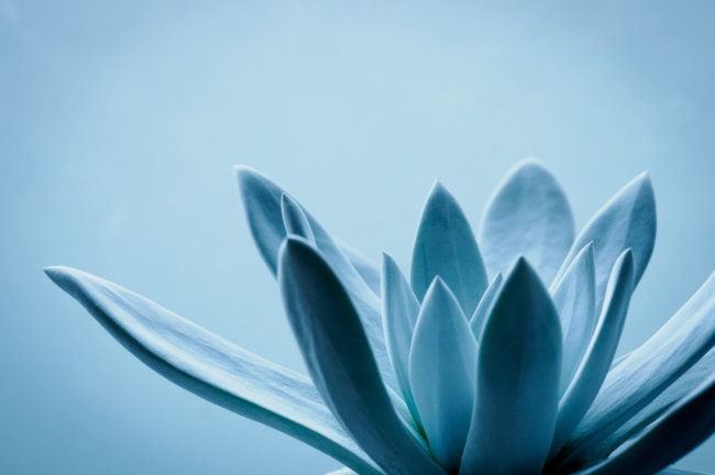 M.ZUIKO DIGITAL ED 90mm F3.5 Macro IS PROレビュー（OM SYSTEM）by 相澤義和さん