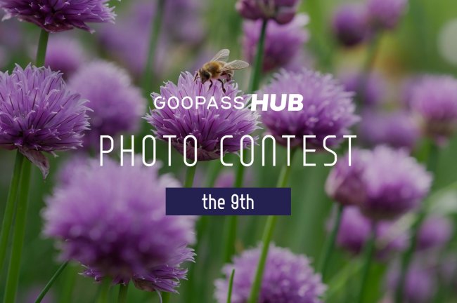 【第9回】GOOPASS HUBフォトコンテスト「HUBフォトコン」結果発表