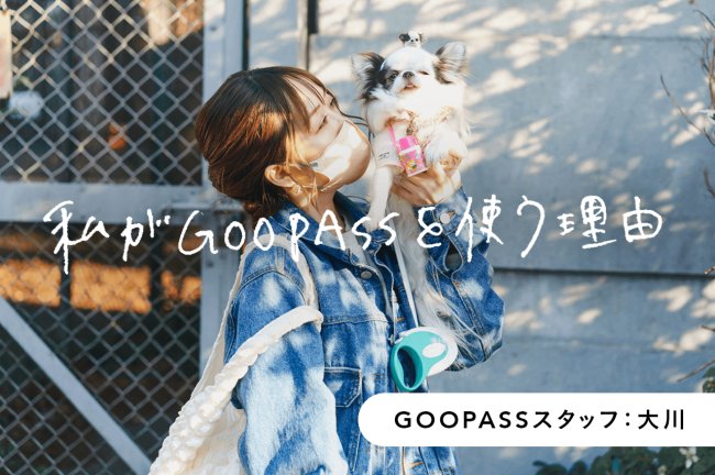家族、アイドル、ぬいぐるみ…。レンズが変われば、表情が変わる。【GOOPASSスタッフ・大川さん】PR