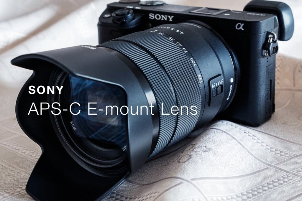 sony-apsc_tmb-1-1024x682.jpg