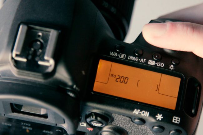 写真のISO感度とは？目安とノイズを避ける設定を解説