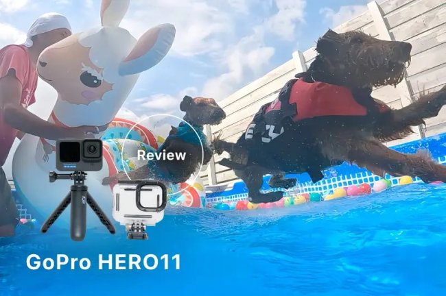 【レビュー】GoPro HERO11をGOOPASSでレンタル！愛犬と水遊びを楽しむ～ペット写真家・長谷部かおりさん～