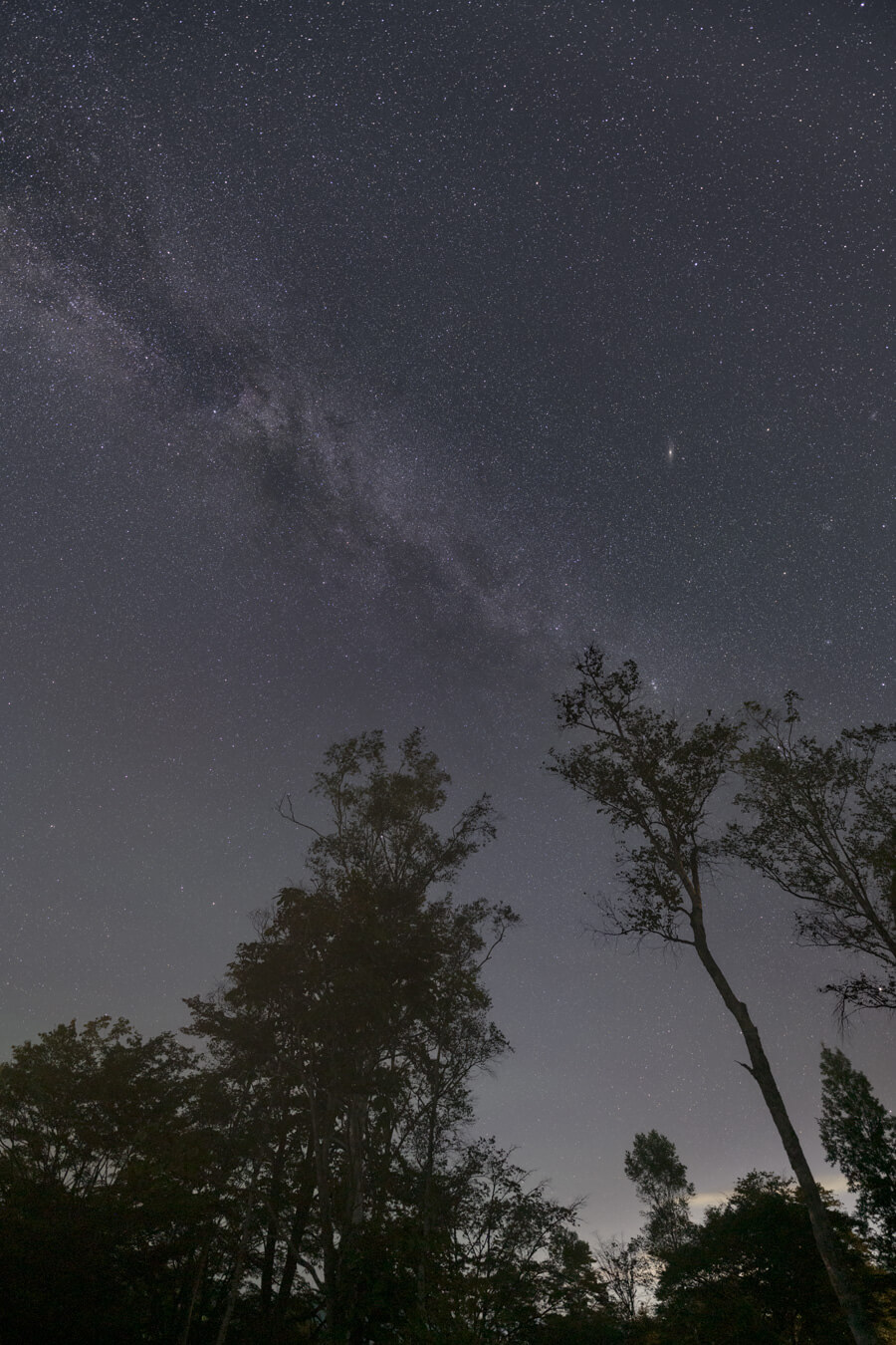 SIGMA 14mm F1.4 DG DN | Artレビュー