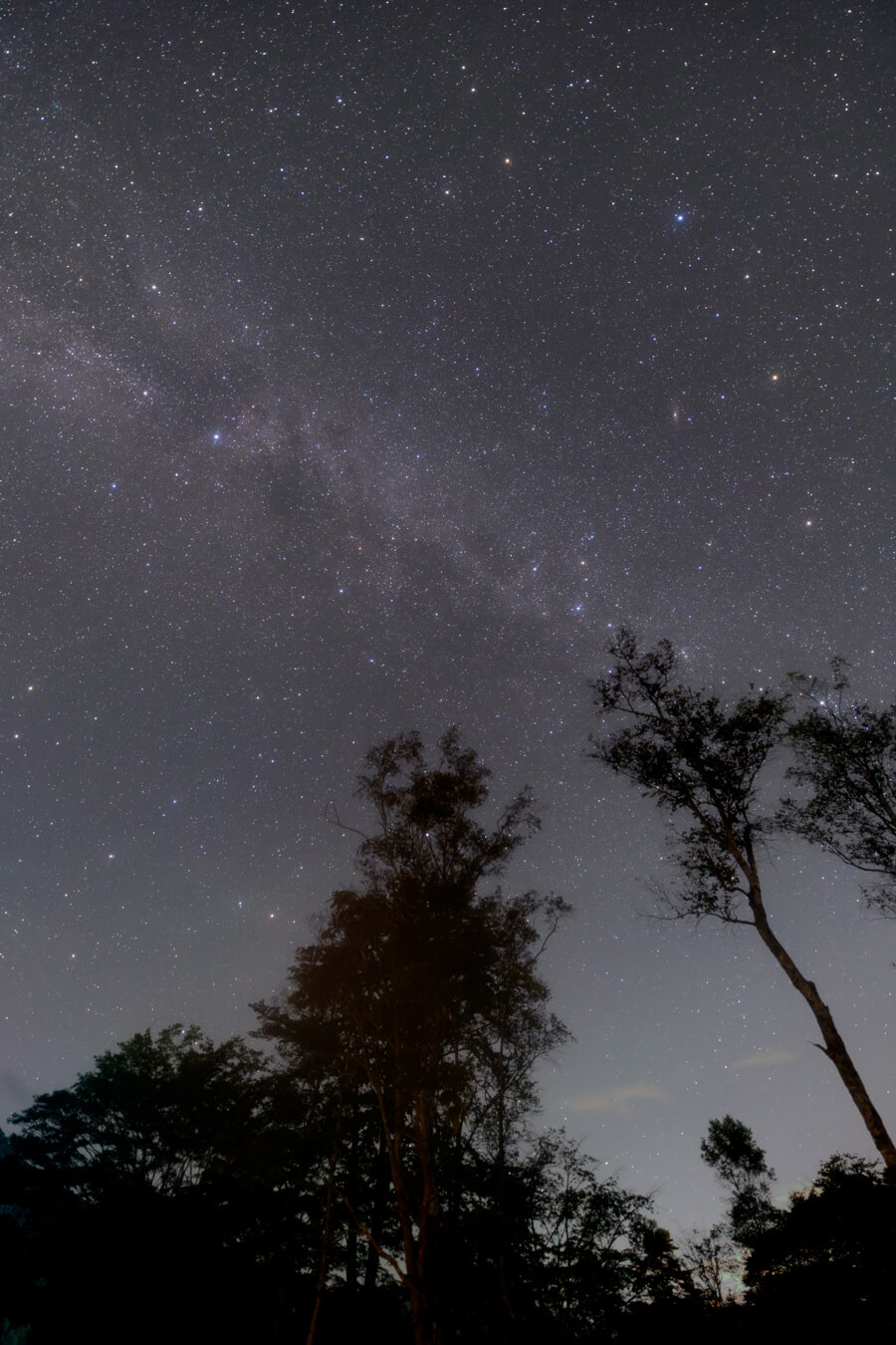 SIGMA 14mm F1.4 DG DN | Artレビュー