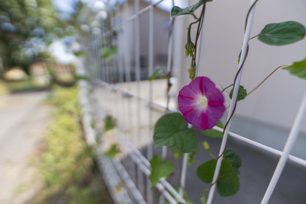 SIGMA 14mm F1.4 DG DN | Artレビュー