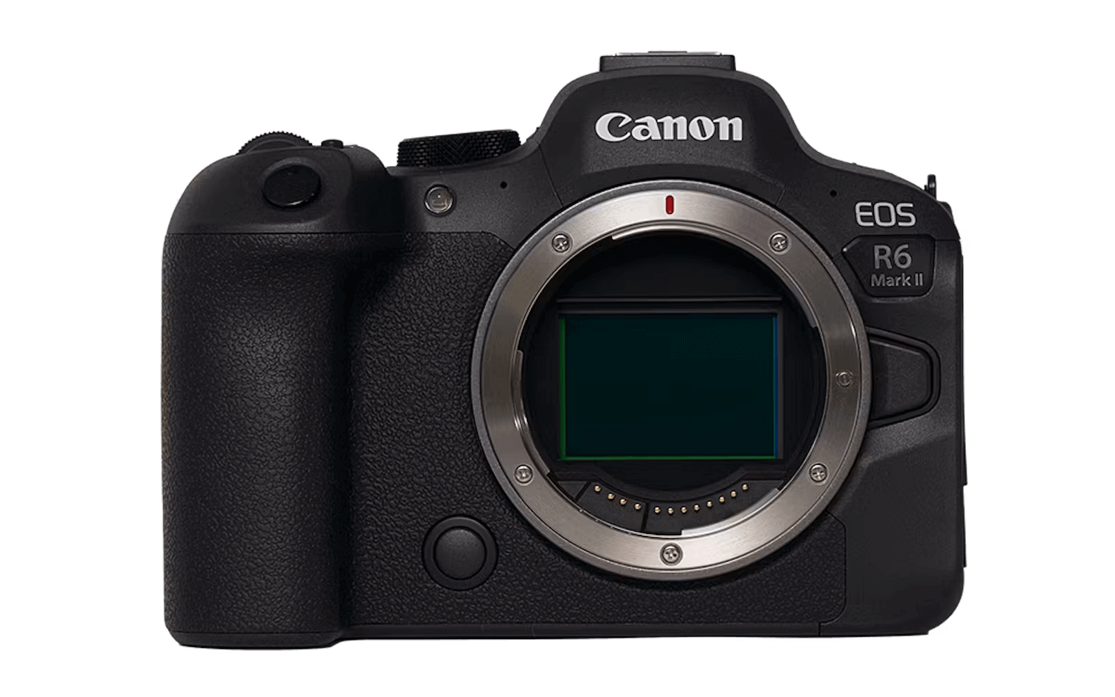 EOS R6MarkⅡ
