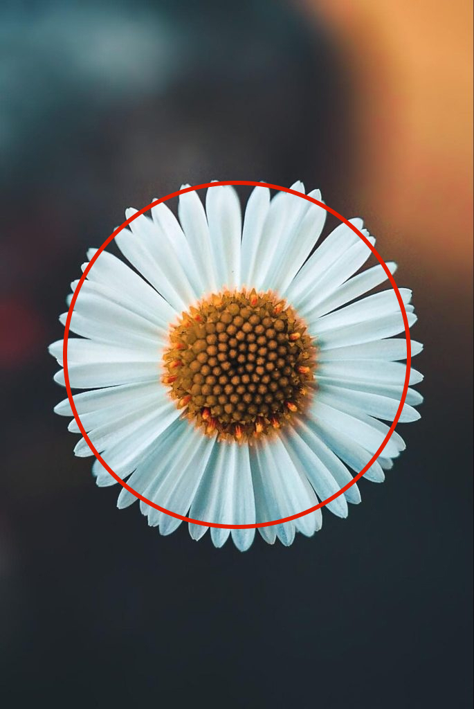 日の丸構図