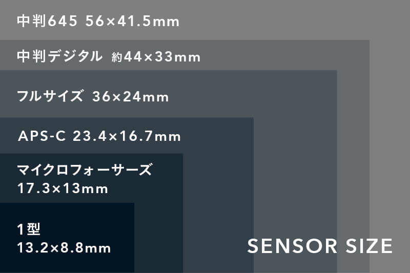 センサーサイズ