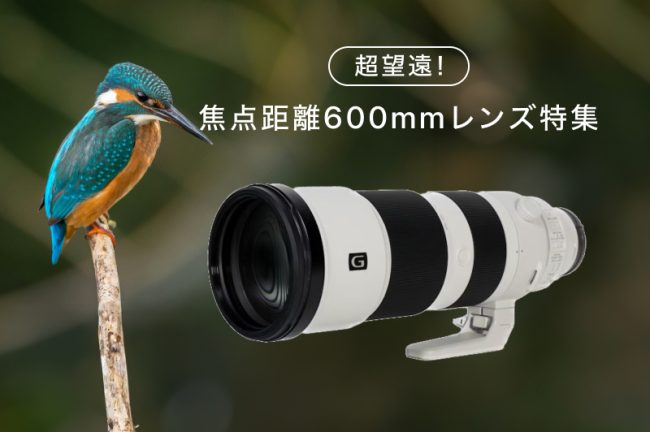 焦点距離600mm！超望遠レンズおすすめ15選。運動会・スポーツや野鳥撮影に！