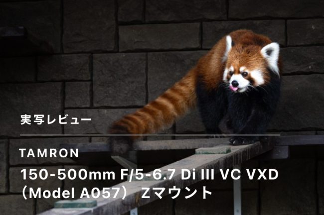 TAMRON 150-500mm F/5-6.7 Di III VC VXD（Model A057） Zマウントレビュー！【PR】