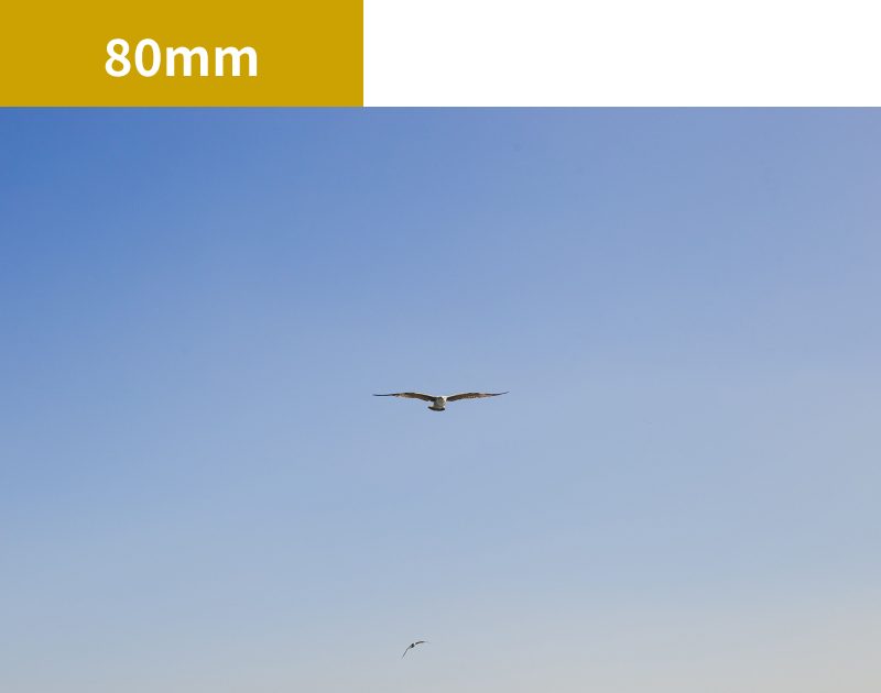 80mmのレンズで撮影