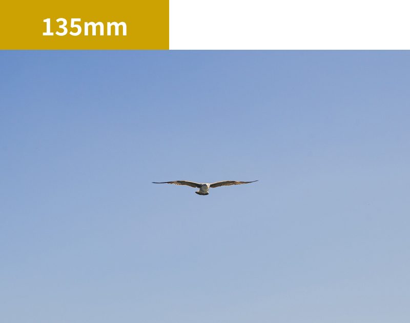 135mmのレンズで撮影