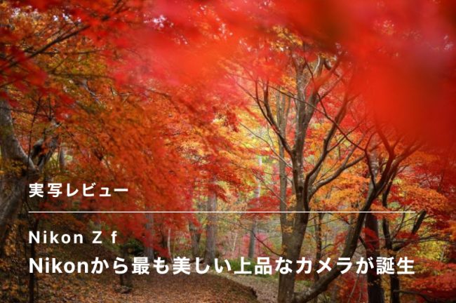 Nikon Z fレビュー！Nikonから最も美しい上品なカメラが誕生。【PR】