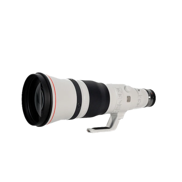 焦点距離600mm！超望遠レンズおすすめ15選。運動会・スポーツや野鳥