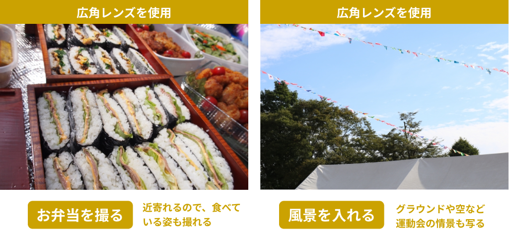 広角レンズ使用例