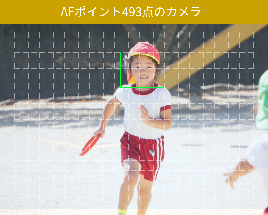 AF493点