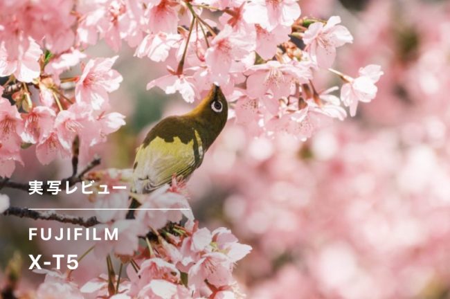FUJIFILM X-T5のレビュー！