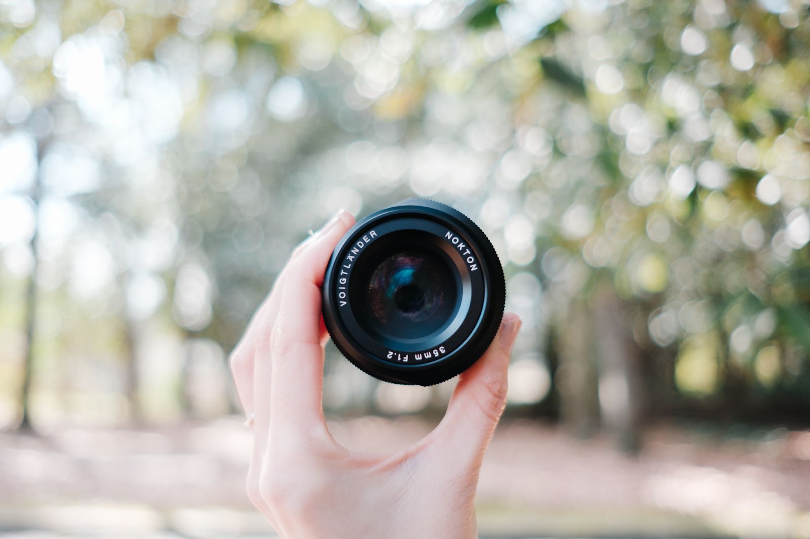 コシナ　フォクトレンダー NOKTON 35mm F1.2 X-mount ミニレポート：富士フイルムXシリーズ用NOKTON 35mm F1.2（前編