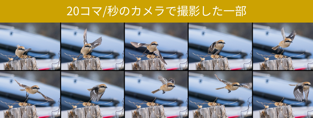 高速連写機能
